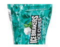 Ice Cube Gum Wintergreen  (4 Bottles Per Box)